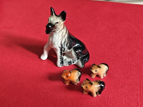 Chien loup portée de 3 - sa,
