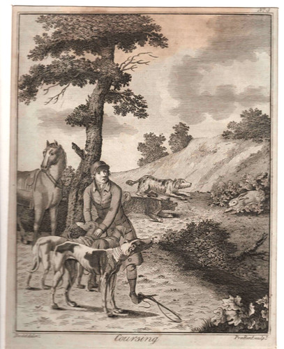Gravure xixe chasse - xixe, à
