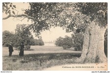 AUSP4-0343-77 - FONTENAILLES - Chateau de BOIS-BOUDRAN - Le parc