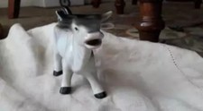 Vintage German Made Cow Milk
