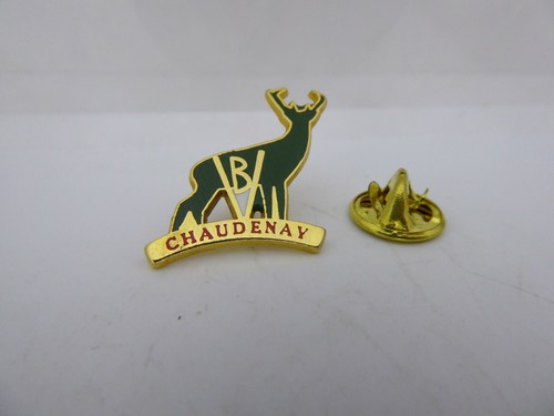 Rare pin pins - pin's, bv