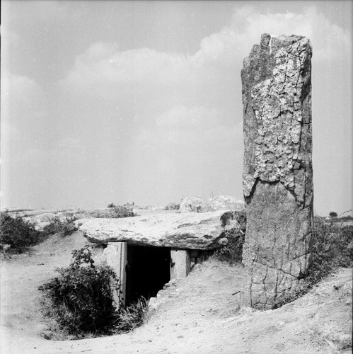 Locmariaquer 1950 - locmariaquer, c.1950
