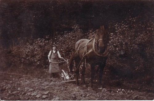 Ancienes bauer avec - ancienes,