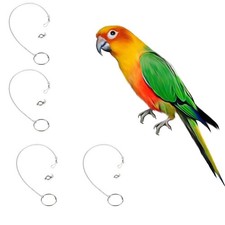 Chaîne de cheville en acier inoxydable pour perroquet, huit pièces, pour