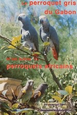 Le perroquet gris du Gabon et