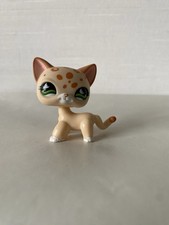 Authentique Littlest Petshop Chat Européen #852