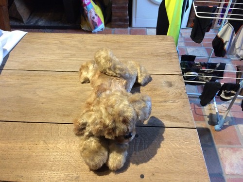 Ancien chien couche - ,