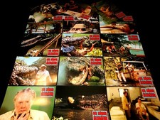 KILLER CROCODILE   Fabrizio De Angelis rare  jeu 15 photos cinema fantastique