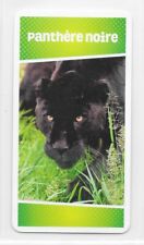 Carte Cartatoto - Panthère noire