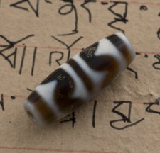 Dzi dent de Tigre Gzi P - amulette tibétaine sacrée- Talisman  1065