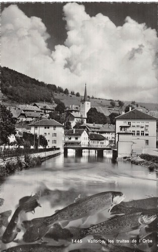 Suisse vallorbe les truites - suisse,