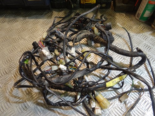 Faisceau électrique quad - faisceau,