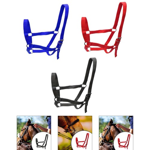 Licol pour cheval facile - , à