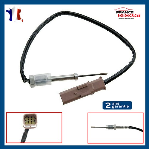 Sonde température gaz - de,