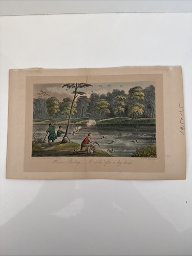 Antique hand coloured aquatint - antique,