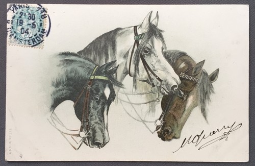Carte postale ancienne - postale, chevaux