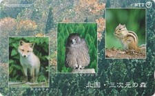 TC  JAPON - ANIMAL - ECUREUIL RENARD & HIBOU  SQUIRREL FOX & OWL JAPAN phonecard