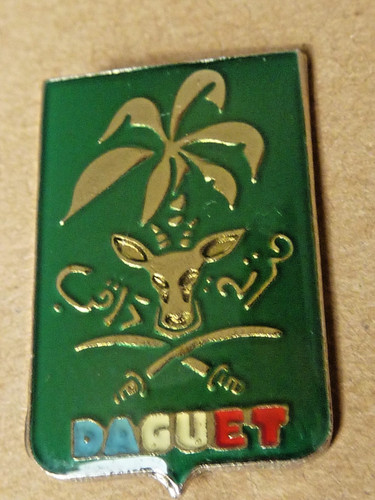Pin pins badge militaire - pin's,