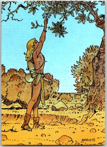 1993 moebius comic - 1993, #86.