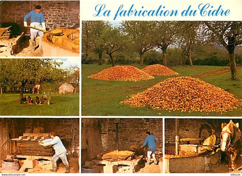 Carte postale recettes de - postale,