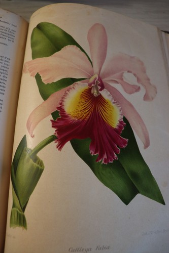 Revue horticole journal - revue,
