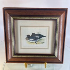 Petite Lithographie Canards