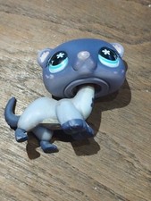 Petshop  Chat chaton 2005