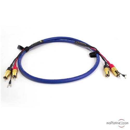 Câble phono cardas clear - câble,