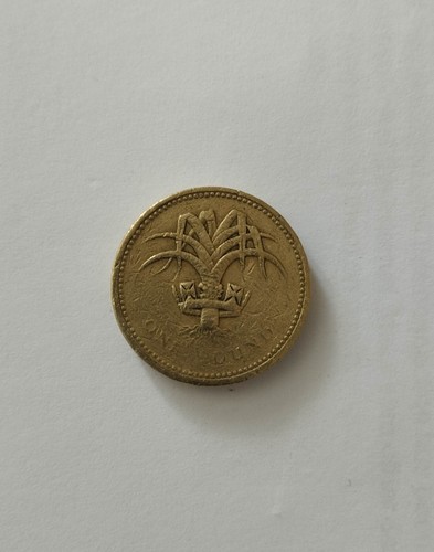 Pièce one pound - pièce,