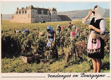 21 CLOS DE VOUGEOT LES VENDANGES