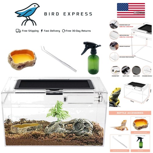 Mini reptile terrarium set - reptile,