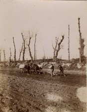 OLD PHOTO - VINTAGE SNAPSHOT -