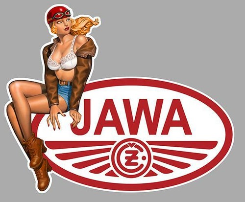Jawa left pin - left,