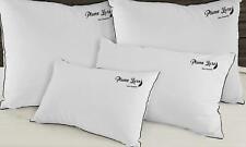 oreillers à plume modèles hotellerie de  luxe confort  sampur