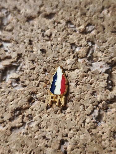 Pin pins logo - pin's,