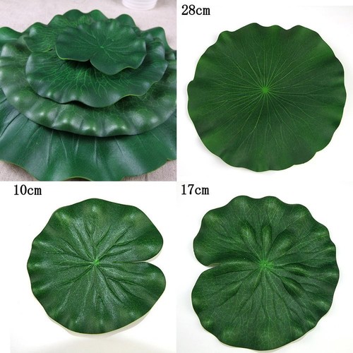 Lotus feuille eau lis - feuille, et