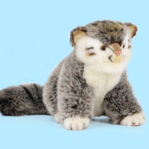 Peluche manul mignon - manul,
