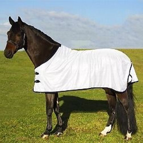 Euroriding fly rug - ,