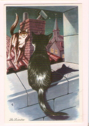 Chats carte postale - ,