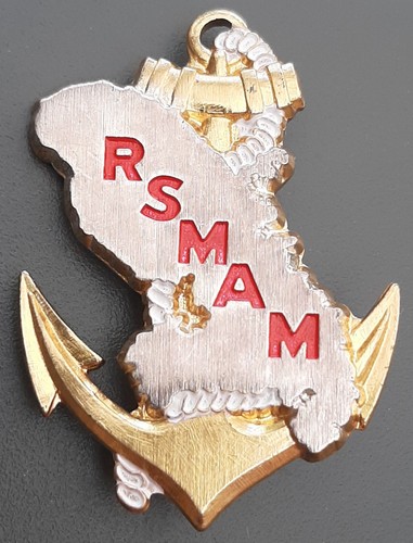 Insigne rsmam sma martinique - insigne,