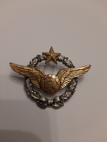 Insigne aviation pilote brevet - insigne,