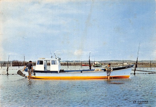 Bassin arcachon pinasse - 33,
