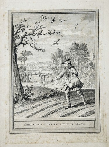 Schwalbe les petits oiseaux - et,