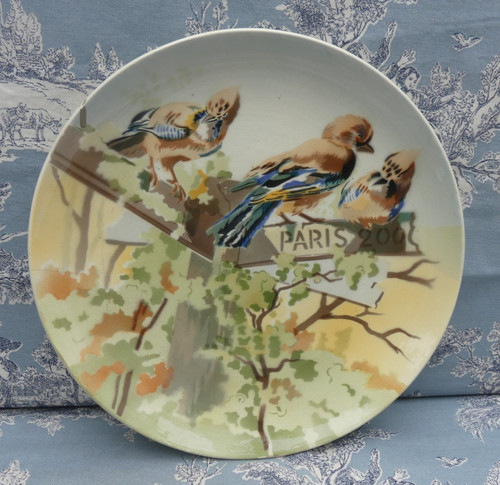 Choisy roi plat oiseaux - choisy,