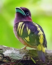 Voyance Nouvelle Année 2026