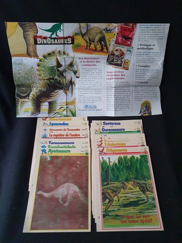 Lot fiches dinosaures - lot,