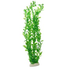 20 Inch long Plante plastique