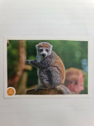 Image sticker autocollant