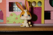 Petshop Lapin #75 / Aimant
