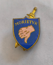 Insigne SPA85 2° Escadrille de l'Escadron Chasse 3/13 Auvergne   ))199